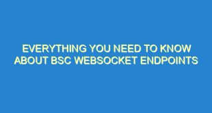 Everything You Need to Know About BSC WebSocket Endpoints - everything you need to know about bsc websocket endpoints 1159 4 image