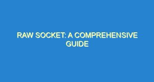 Raw Socket: A Comprehensive Guide - raw socket a comprehensive guide 33 6 image