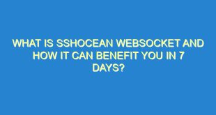 What Is SSHOcean WebSocket and How It Can Benefit You in 7 Days? - what is sshocean websocket and how it can benefit you in 7 days 3274 6 image