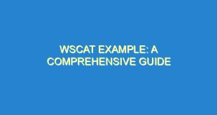 WSCAT Example: A Comprehensive Guide - wscat example a comprehensive guide 3414 10 image
