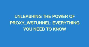 Unleashing the Power of Proxy_Wstunnel: Everything You Need to Know - unleashing the power of proxy wstunnel everything you need to know 3454 5 image