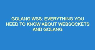Golang WSS: Everything You Need To Know About WebSockets and Golang - golang wss everything you need to know about websockets and golang 3527 3 image