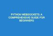 Python Websockets: A Comprehensive Guide for Beginners - python websockets a comprehensive guide for beginners 347 11 image