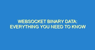 WebSocket Binary Data: Everything You Need to Know - websocket binary data everything you need to know 2536 9 image