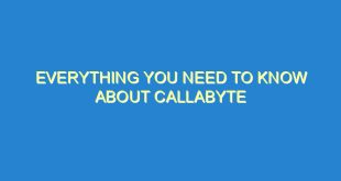 Everything You Need to Know About Callabyte - everything you need to know about callabyte 183 9 image